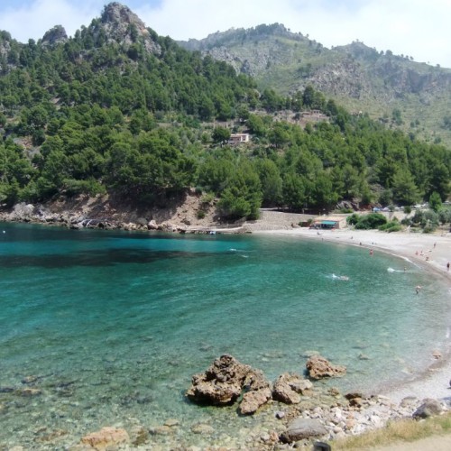 Strand mit Bäumen