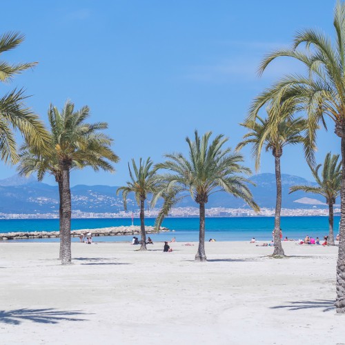  Strand mit Palmen