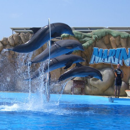 Marineland Mallorca