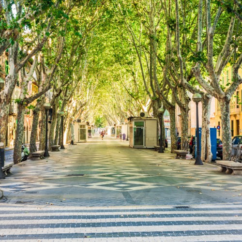 Palma de Mallorca Passeig del Born