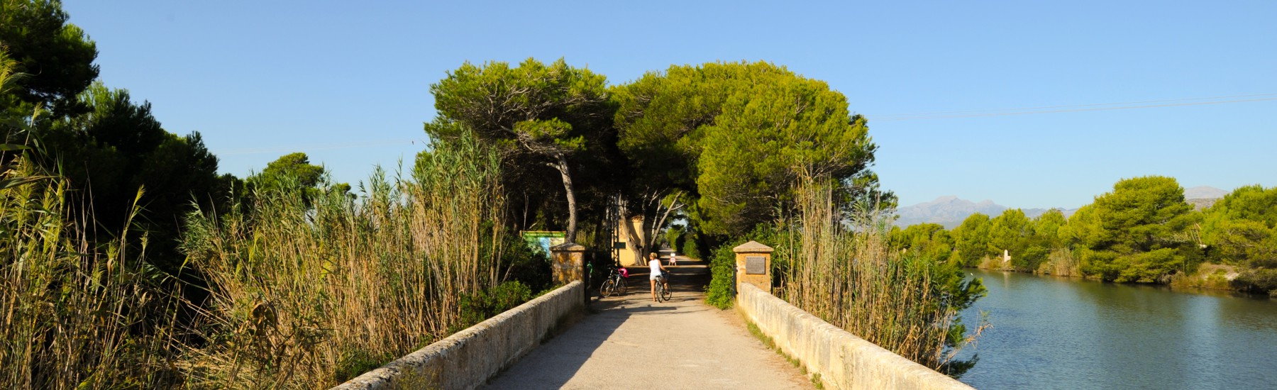 Natuurpark s'Albufera