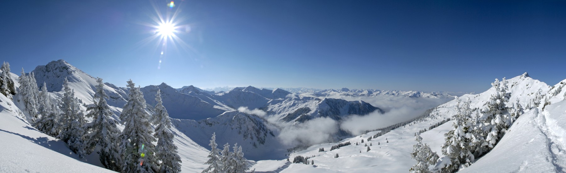 Winter landschap