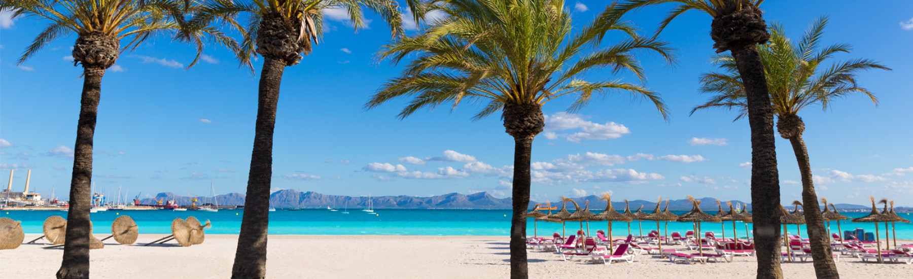 Strand met palmbomen