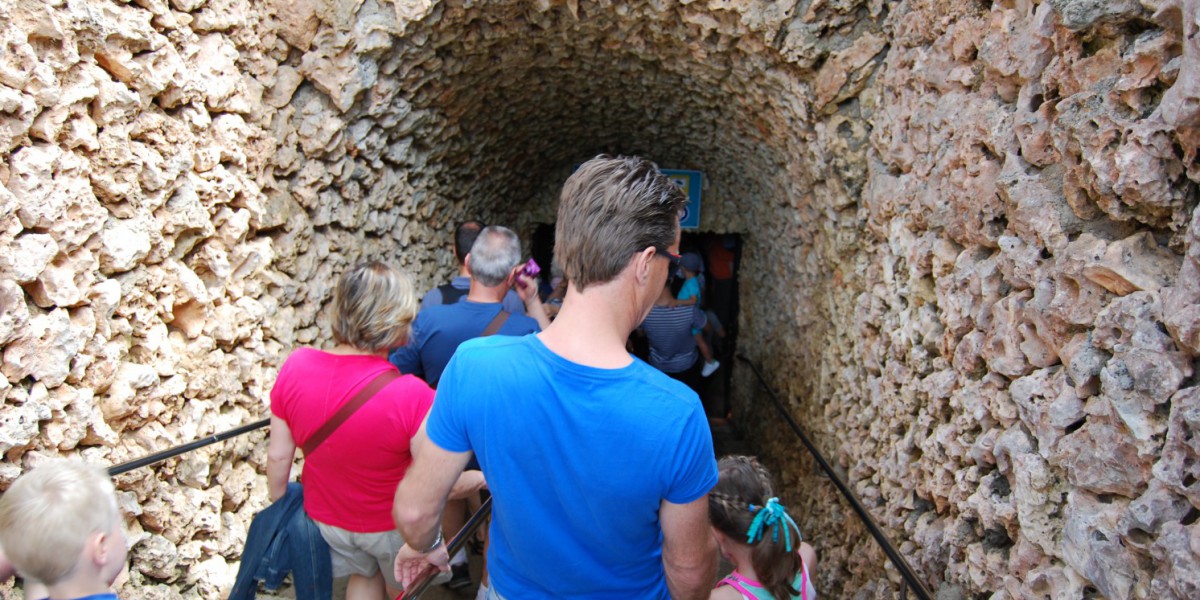 Geführte tour Grotten von Drach